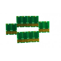 Комбо-Чип Epson T1031-T1034  v.6.0