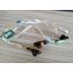 Sensor Epson L800/L805/T50/R290 original