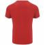 Tricou pentru bărbați Roly BAHRAIN 0407 Red  16