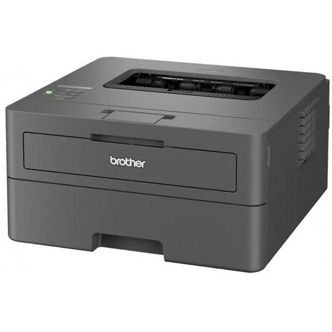 Принтер Brother HL-L2442dw