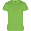 Детская футболка Roly Camimera Kids 135 Lime 4 (Синтетика)