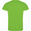 Детская футболка Roly Camimera Kids 135 Lime 4 (Синтетика)
