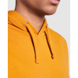 Hanorac Roly Capucha Heather Grey 5/6