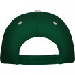 Кепка Panel Bottle Green
